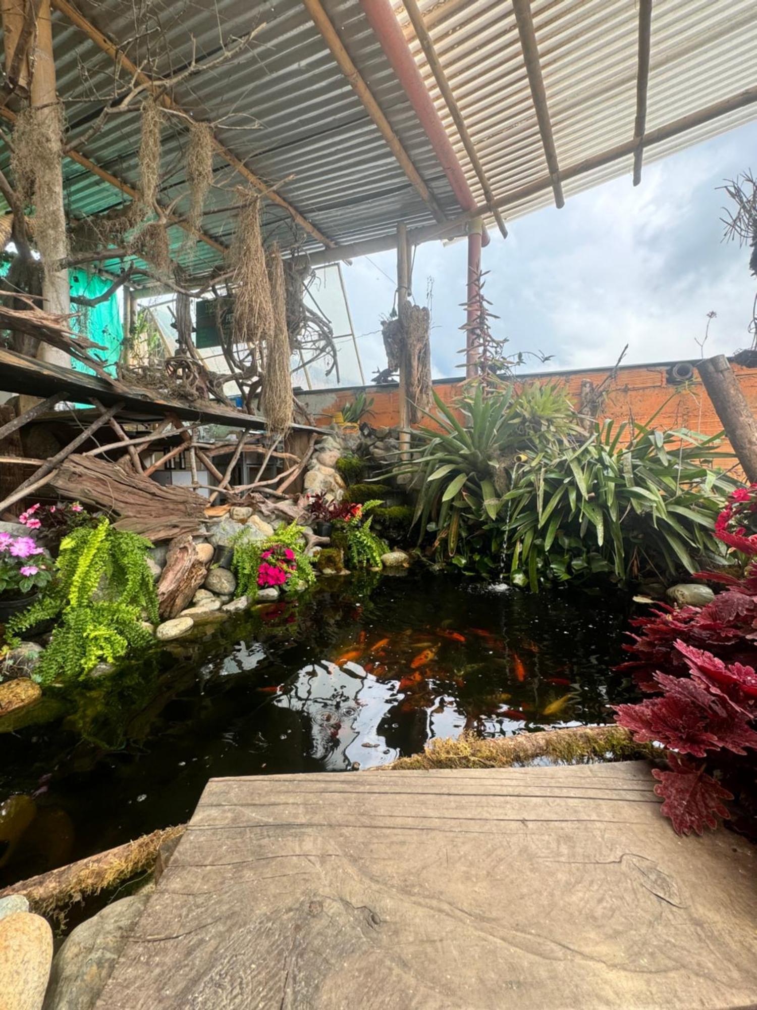 סאלנטו Apartahotel Bareque Centro מראה חיצוני תמונה
